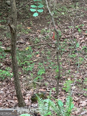 1225-1227 Oglethorpe Road, Jasper, GA 30143