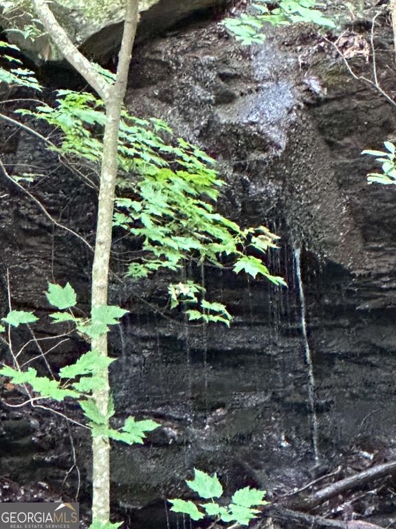 1225-1227 Oglethorpe Road, Jasper, GA 30143