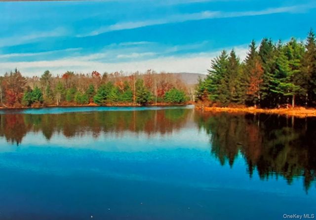 50 Meghan Court, Pine Bush, NY 12566