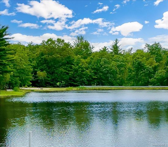 50 Meghan Court, Pine Bush, NY 12566