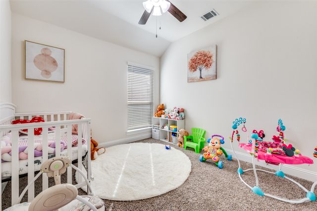 3519 Tunnel Avenue, Aubrey, TX 76227