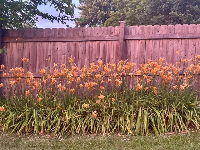 15201 Lavergne Avenue, Oak Forest, IL 60452