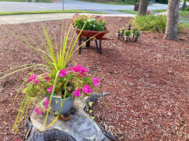 15201 Lavergne Avenue, Oak Forest, IL 60452