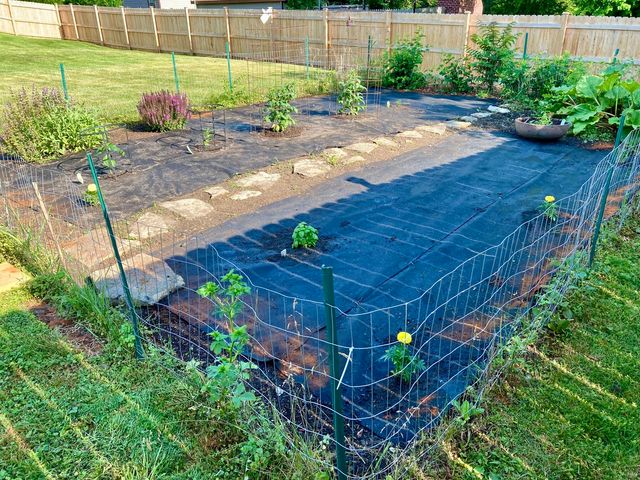 15201 Lavergne Avenue, Oak Forest, IL 60452