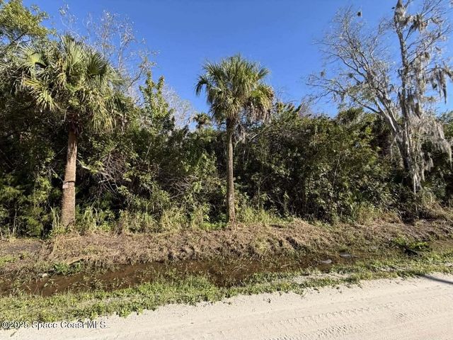0000 Hammock Road, Mims, FL 32754