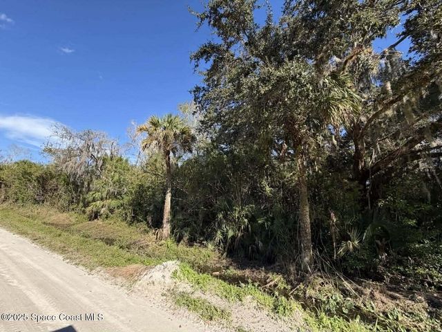 0000 Hammock Road, Mims, FL 32754