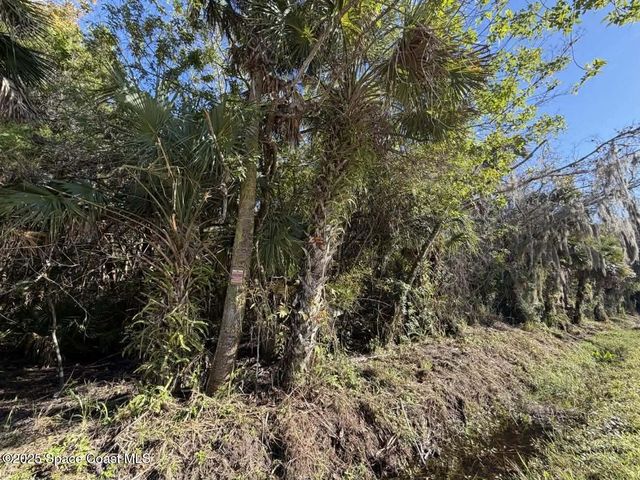 0000 Hammock Road, Mims, FL 32754