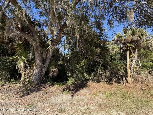 0000 Hammock Road, Mims, FL 32754