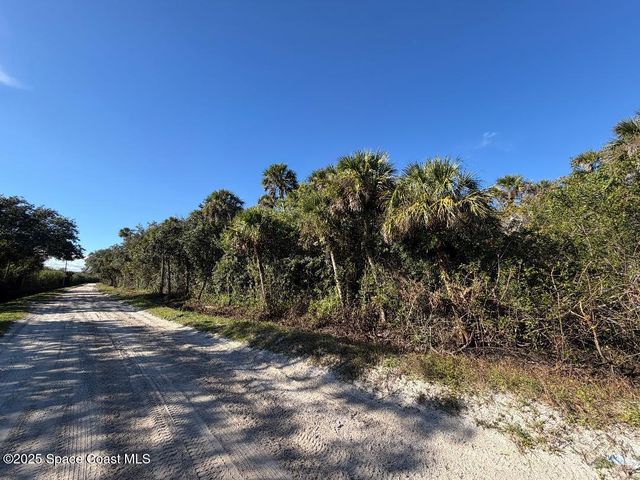 0000 Hammock Road, Mims, FL 32754