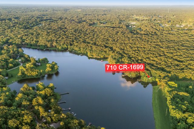 710 County Road 1699, Alba, TX 75410