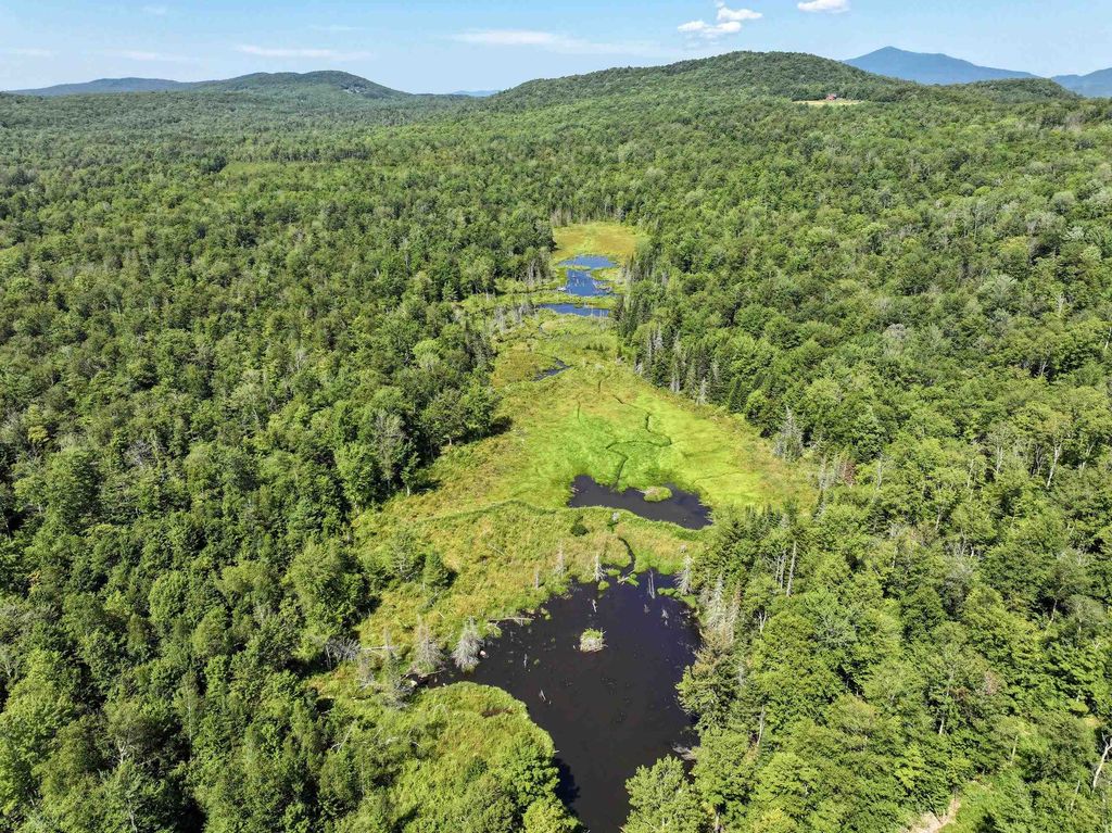 LOT 4 Lincoln Road, Ripton, VT 05766