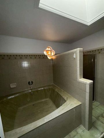 228 Alamo Street, Sullivan City, TX 78595