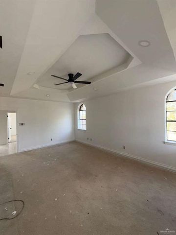 228 Alamo Street, Sullivan City, TX 78595