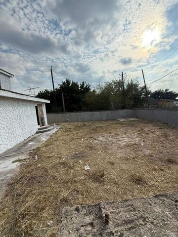 228 Alamo Street, Sullivan City, TX 78595