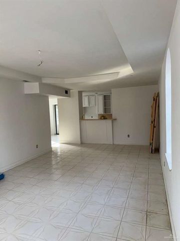 228 Alamo Street, Sullivan City, TX 78595