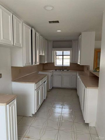 228 Alamo Street, Sullivan City, TX 78595