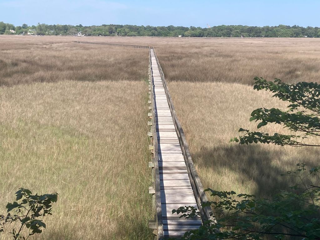 Image 37 of property listing at 3121 Mulan Lane, Charleston, SC 29414