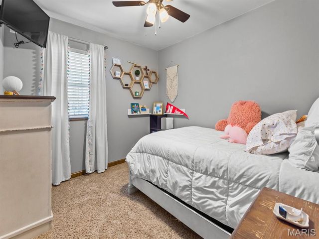 14 Lakeview Drive, Freeburg, IL 62243