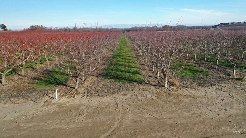 TBD Riverside Road, Caldwell, ID 83607 photo 31