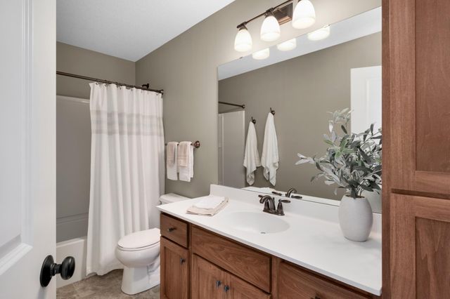 13577 Big Sandy Lake Drive, Rogers, MN 55374