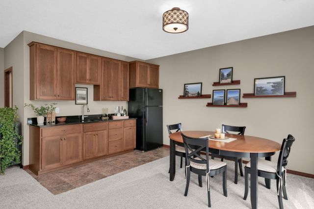 13577 Big Sandy Lake Drive, Rogers, MN 55374