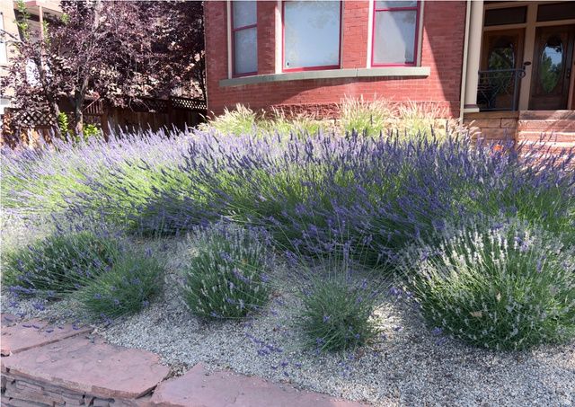 729 E 3RD AVE, Salt Lake City, UT 84103