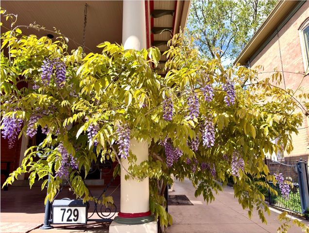 729 E 3RD AVE, Salt Lake City, UT 84103