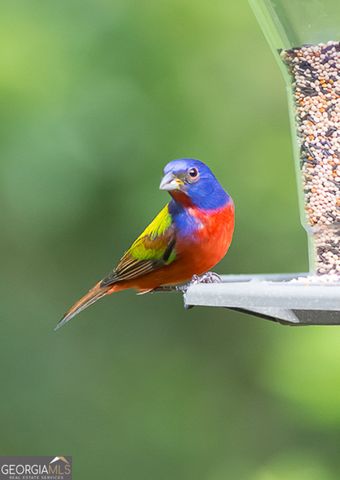 107 Wards Lane, St. Marys, GA 31558