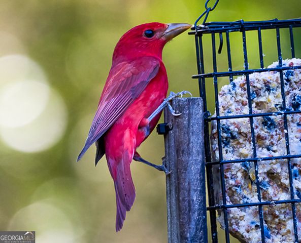 107 Wards Lane, St. Marys, GA 31558