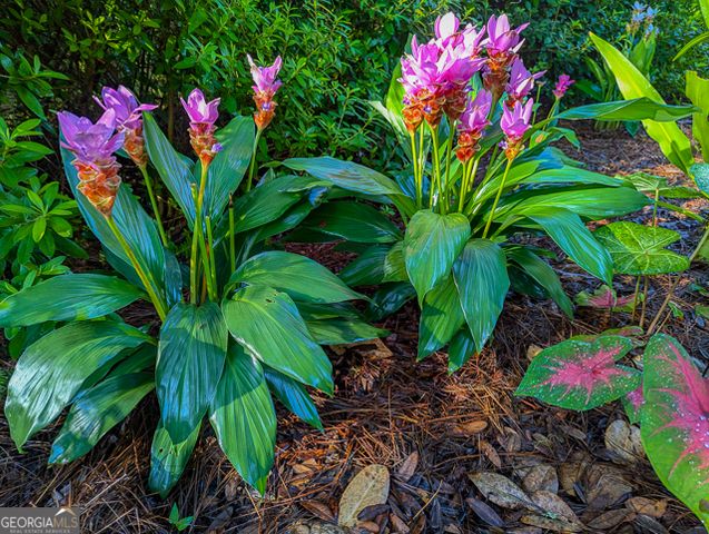 107 Wards Lane, St. Marys, GA 31558