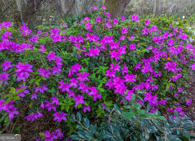 107 Wards Lane, St. Marys, GA 31558