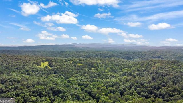 233 Old Post Trail, Talking Rock, GA 30175