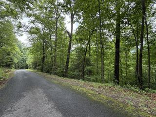4.63 Twiggs Road, Hiawassee, GA 30546
