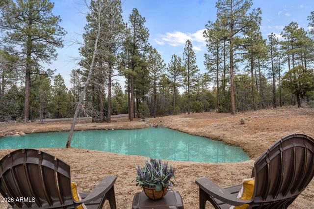 4651 W WHITE OAK Lane, Show Low, AZ 85901