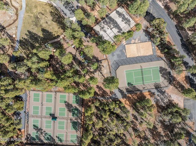 4651 W WHITE OAK Lane, Show Low, AZ 85901