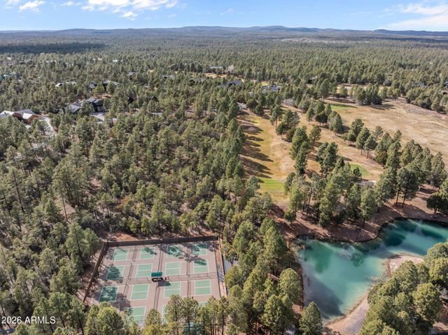 4651 W WHITE OAK Lane, Show Low, AZ 85901