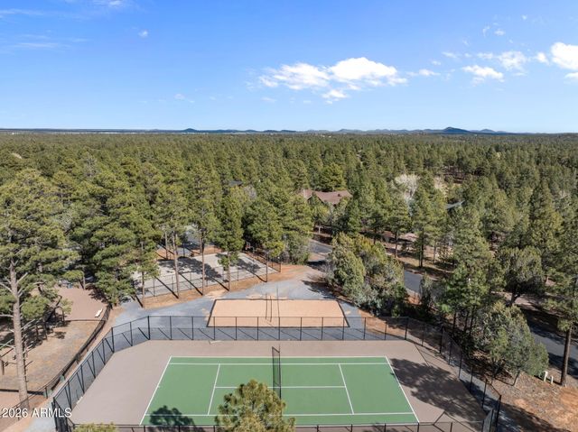 4651 W WHITE OAK Lane, Show Low, AZ 85901