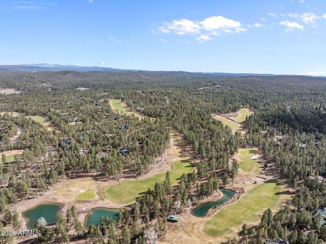 4651 W WHITE OAK Lane, Show Low, AZ 85901