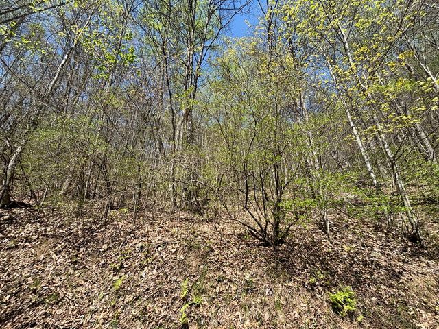Lot 4 Outlook Road, Murphy, NC 28906