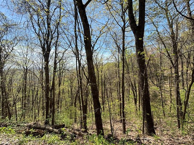 Lot 4 Outlook Road, Murphy, NC 28906