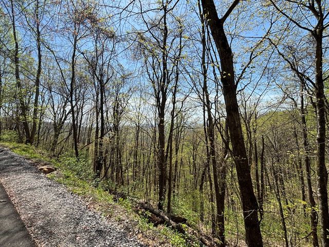 Lot 4 Outlook Road, Murphy, NC 28906