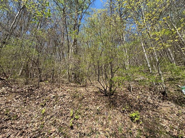 Lot 4 Outlook Road, Murphy, NC 28906