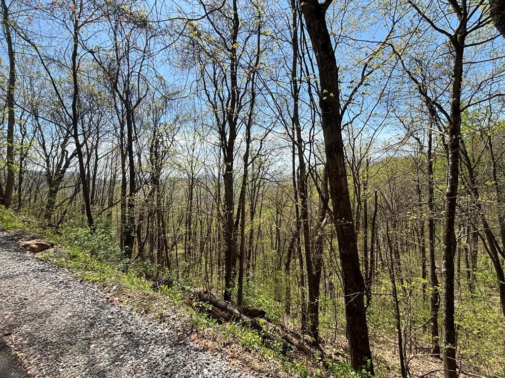 Lot 4 Outlook Road, Murphy, NC 28906