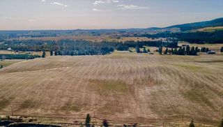 13505 E Gibbs Rd, Mica, WA 99023