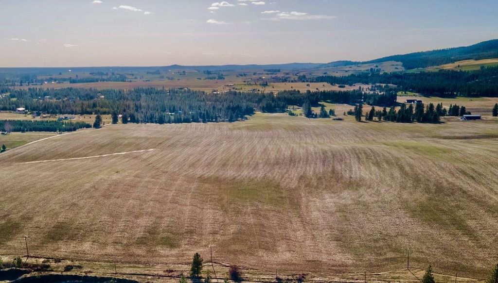 13505 E Gibbs Rd, Mica, WA 99023