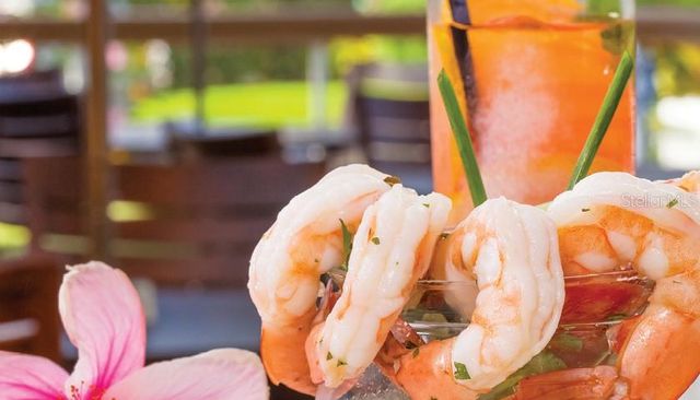 5500 GULF BOULEVARD 2241, St Pete Beach, FL 33706