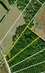 TBD Kickapoo Road, Groveton, TX 75845