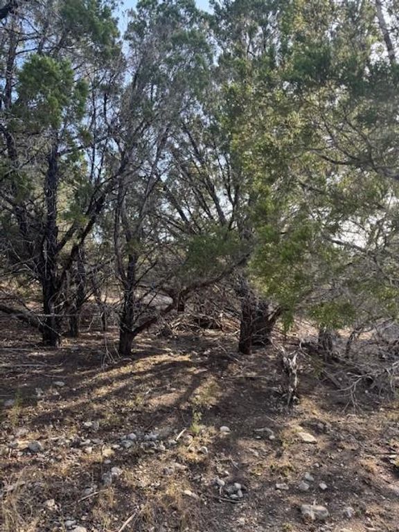 20003 Continental CV, Leander, TX 78645