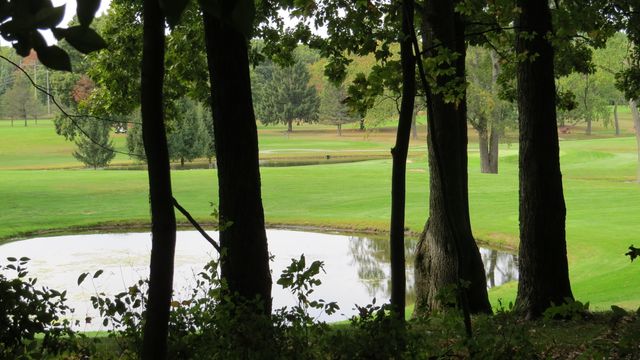 5882 Mullen Ridge Drive, Delton, MI 49046