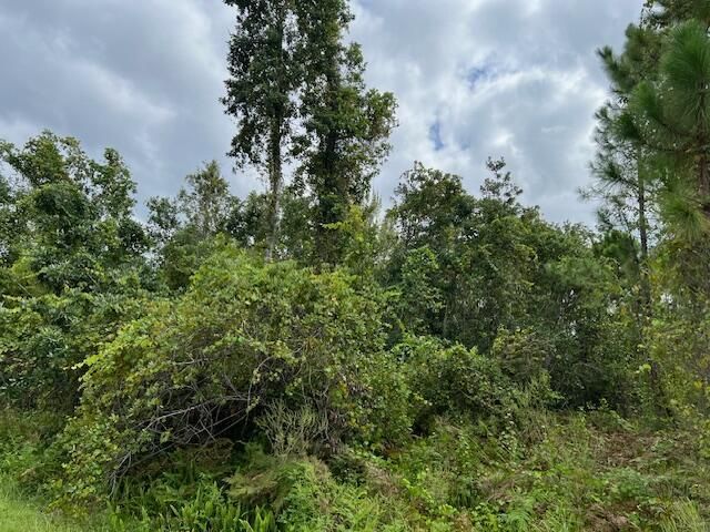 1123 Greenfield Street, Lake Placid, FL 33852